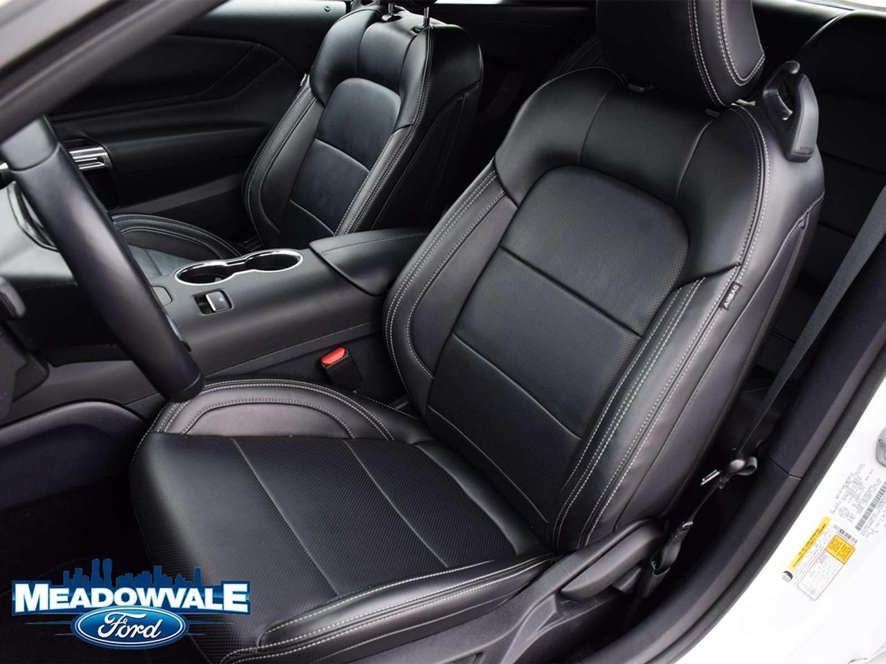 2025 Ford Mustang EcoBoost Premium Photo