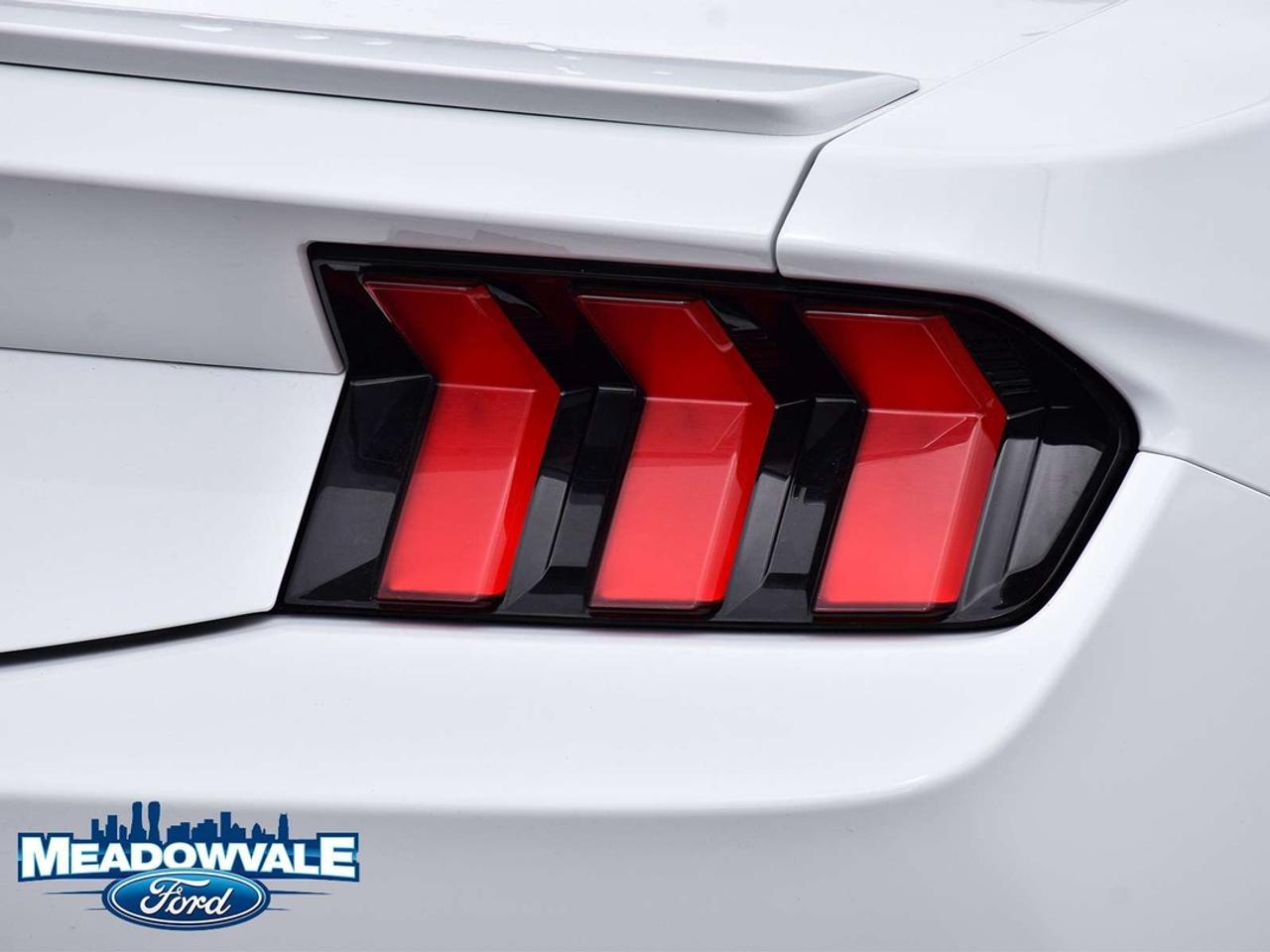 2025 Ford Mustang EcoBoost Premium Photo