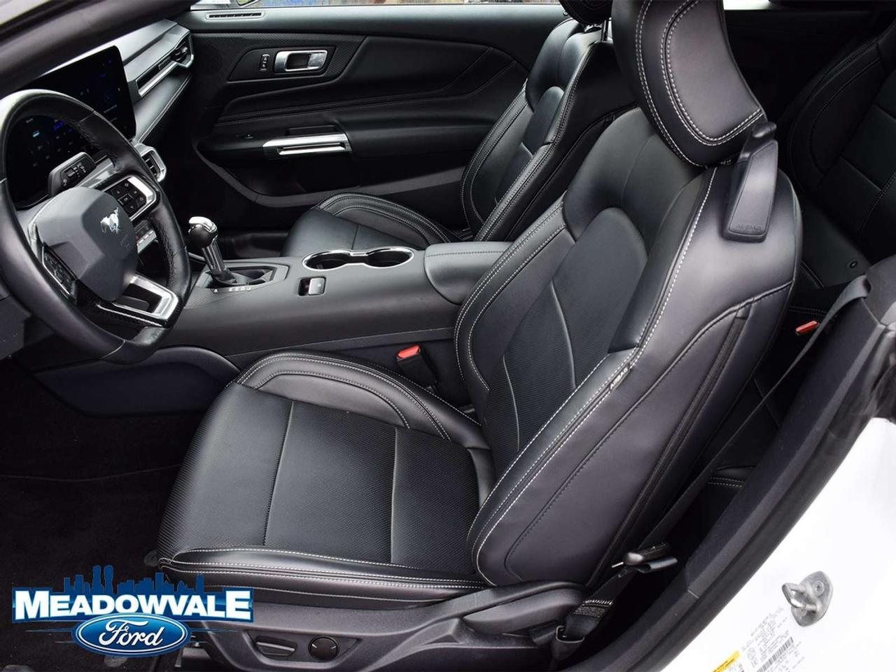 2025 Ford Mustang EcoBoost Premium Photo