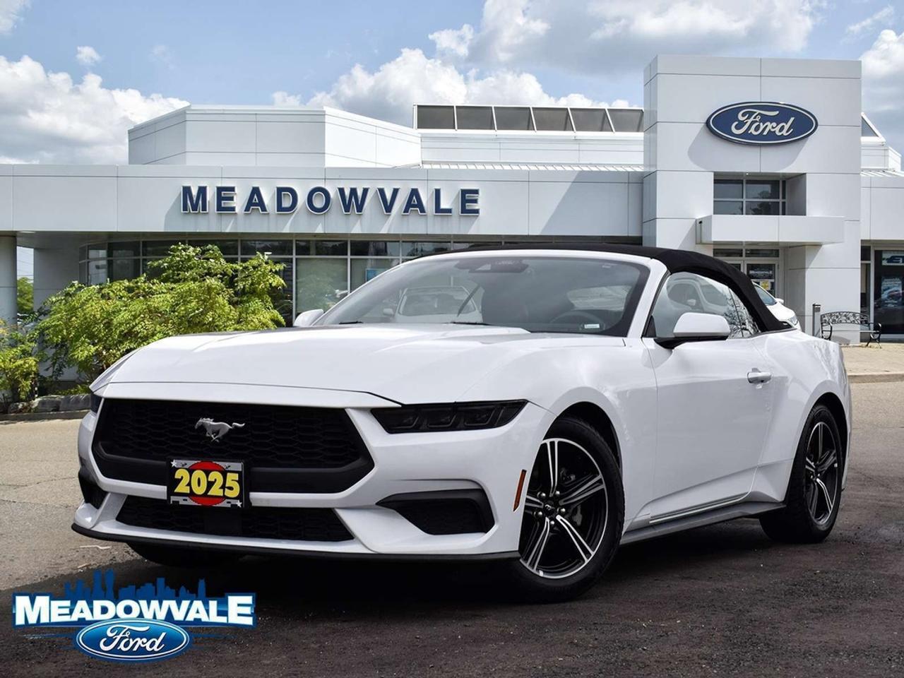 2025 Ford Mustang EcoBoost Premium Photo0