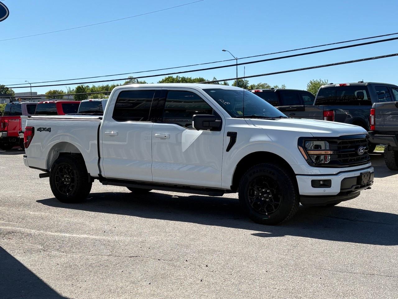 2026 Ford F-150 XLT 4WD SuperCrew 5.5' Box Photo