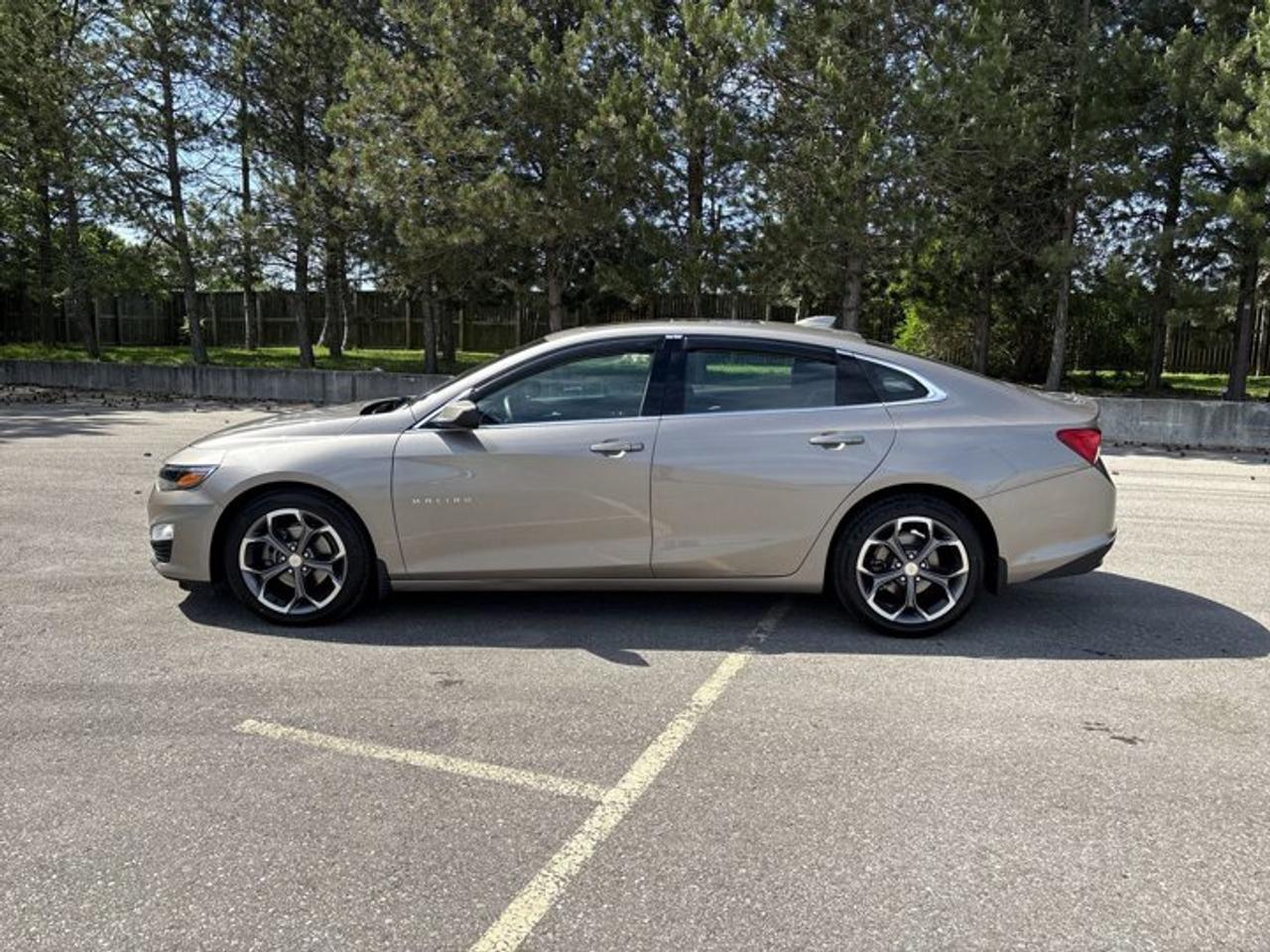 2024 Chevrolet Malibu LT 2WD | Panoramic Sunroof Photo