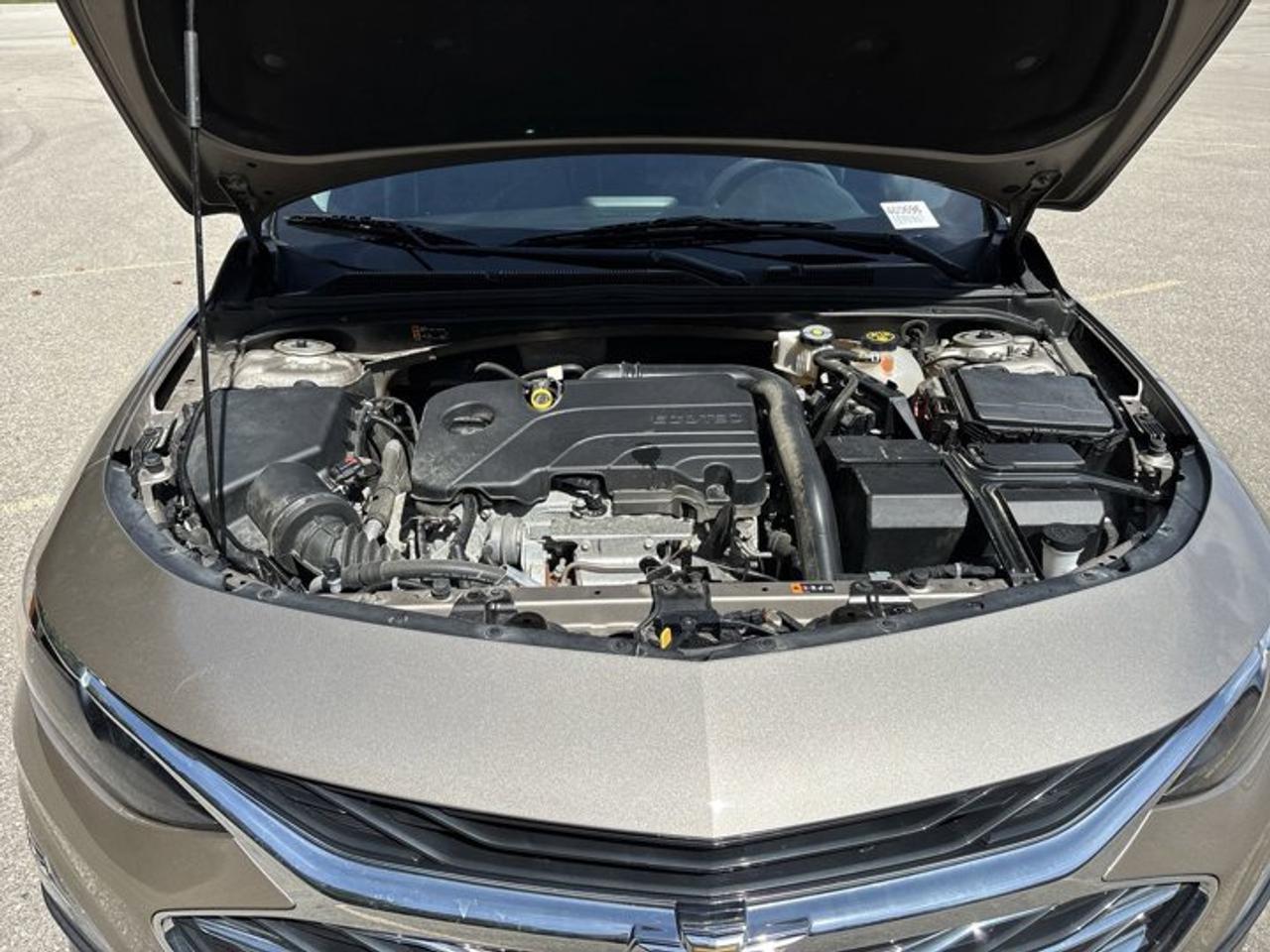 2024 Chevrolet Malibu LT 2WD | Panoramic Sunroof Photo