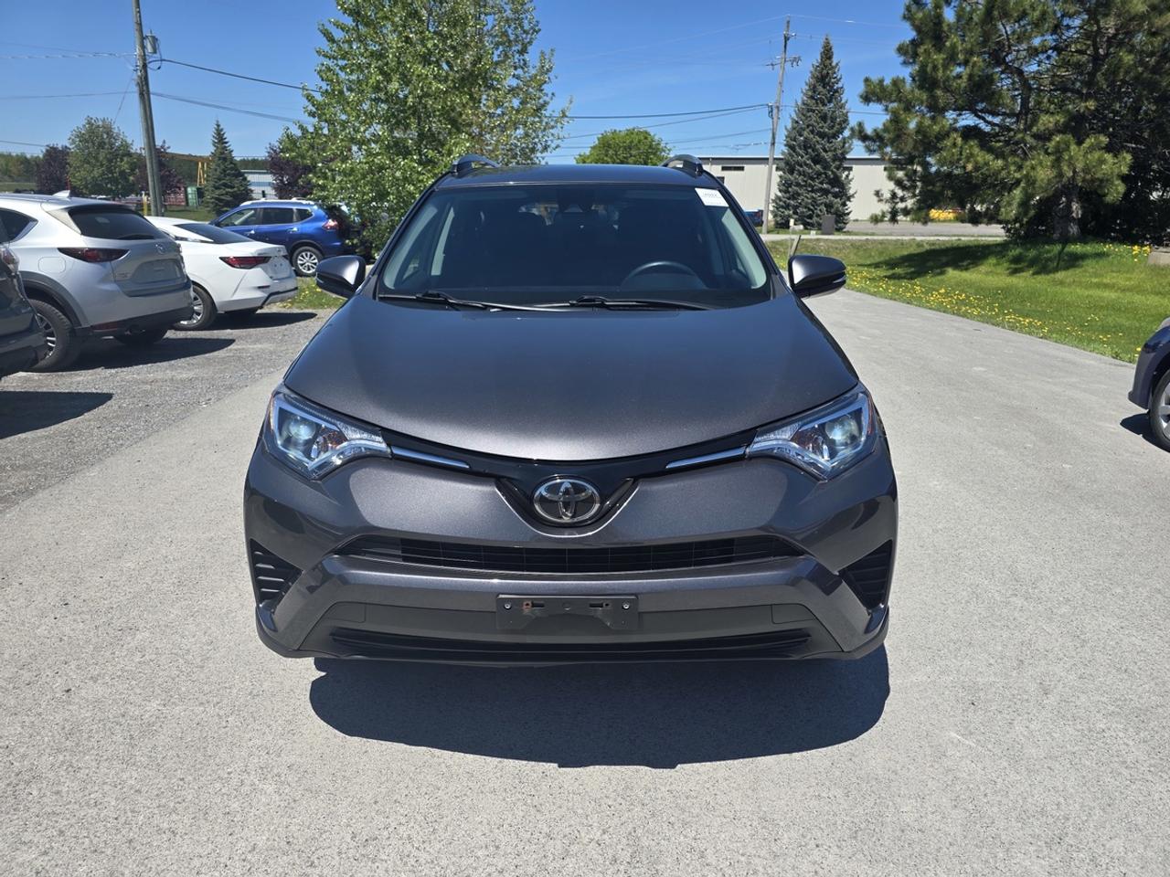 2017 Toyota RAV4 LE Photo