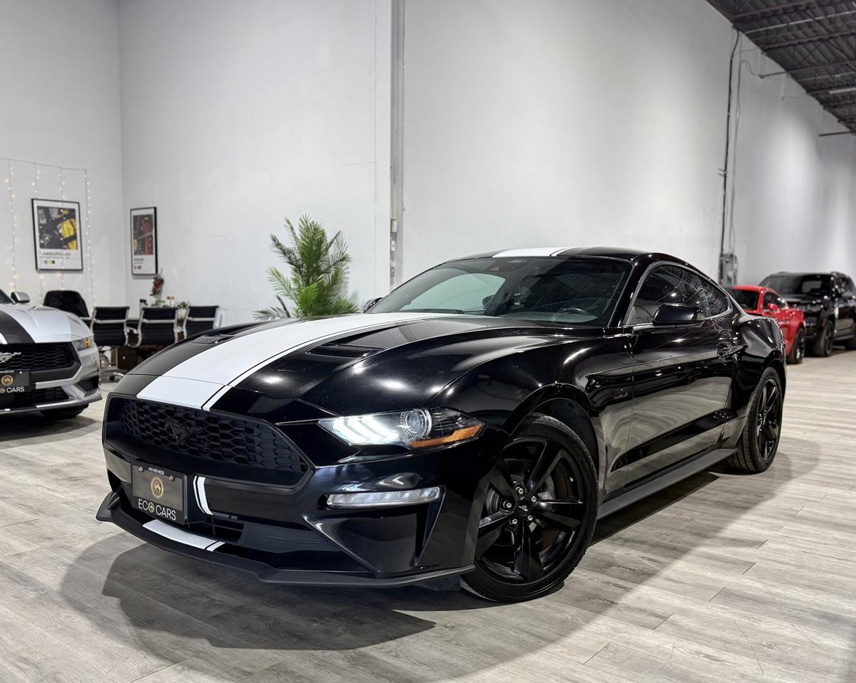 2021 Ford Mustang EB Fastback|Clean Carfax|Heated Seats Photo0