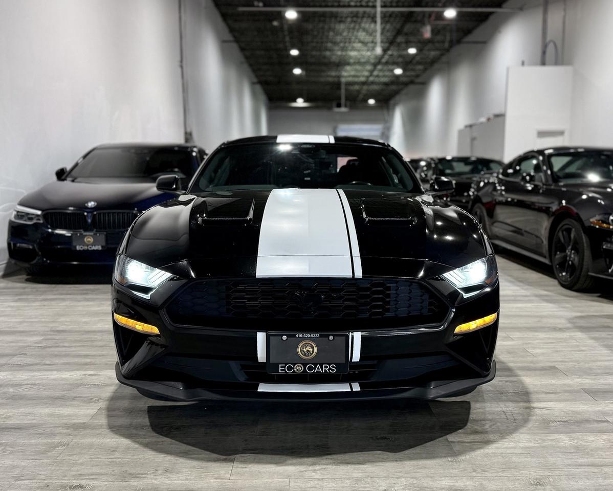 2021 Ford Mustang EB Fastback|Clean Carfax|Heated Seats Photo