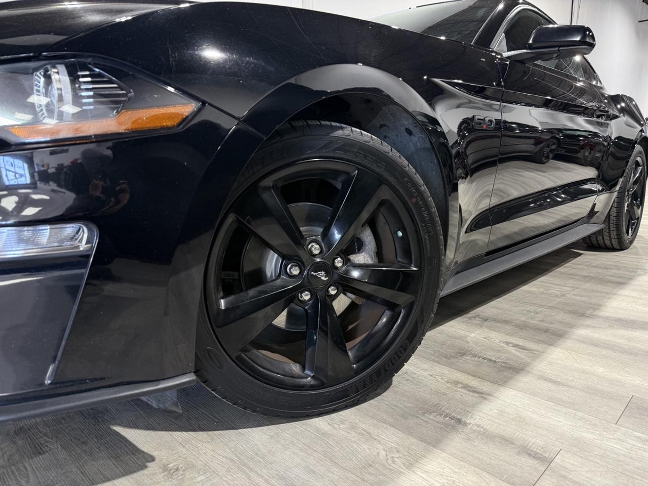 2021 Ford Mustang EB Fastback|Clean Carfax|Heated Seats Photo