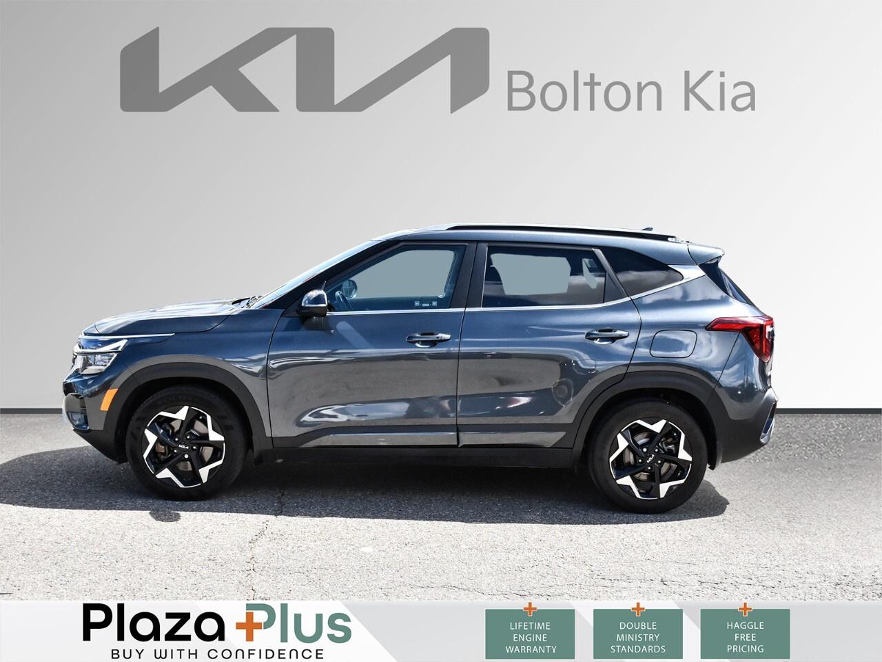 2024 Kia Seltos EX Photo