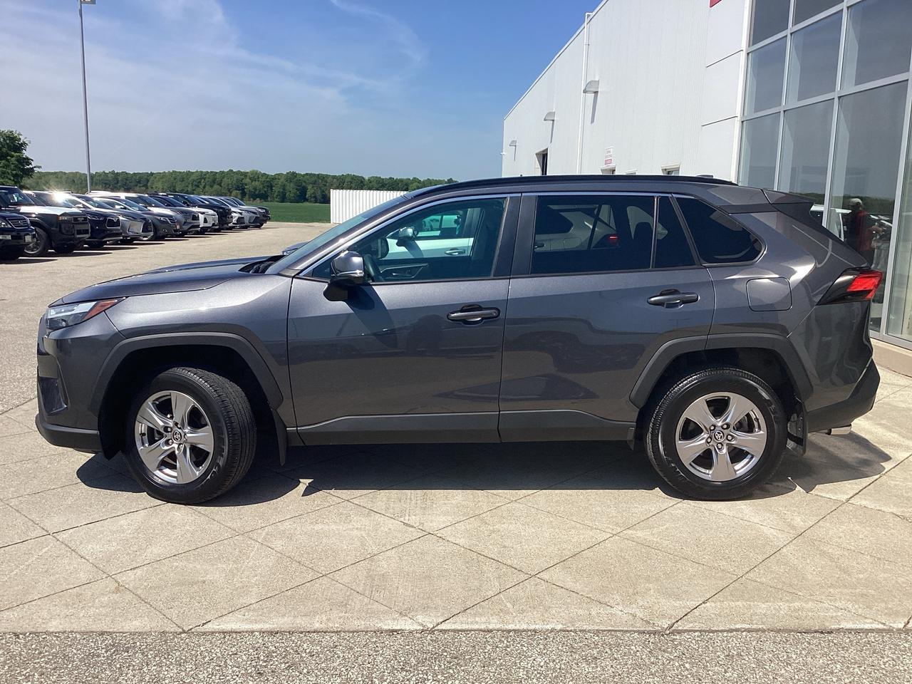 2024 Toyota RAV4 XLE AWD Photo