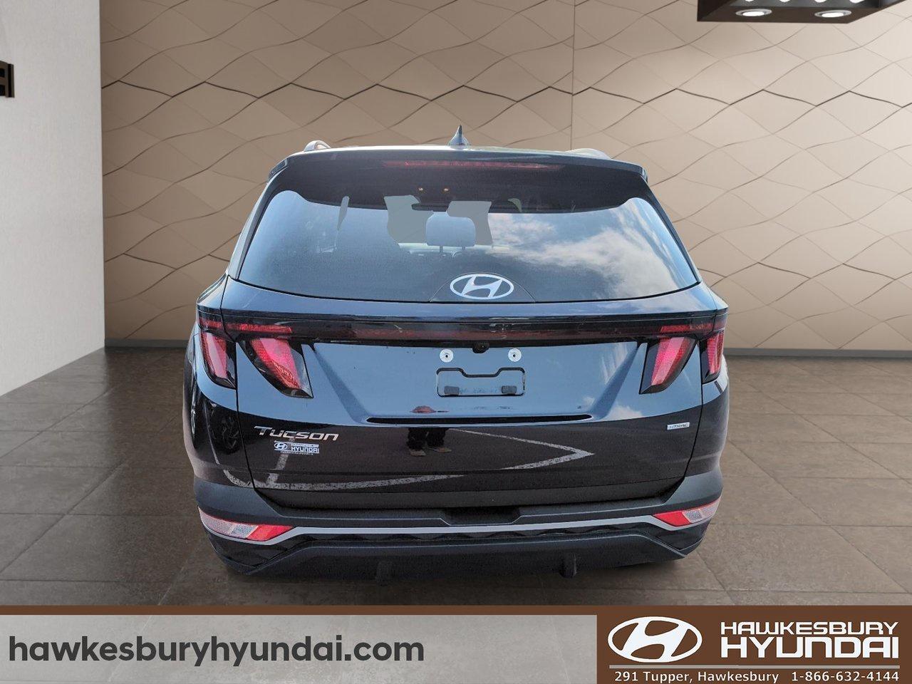 2023 Hyundai Tucson Preferred Photo