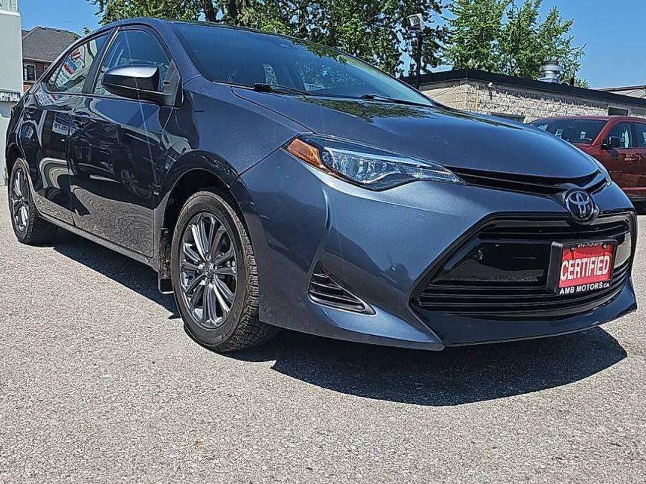 2019 Toyota Corolla LE Photo