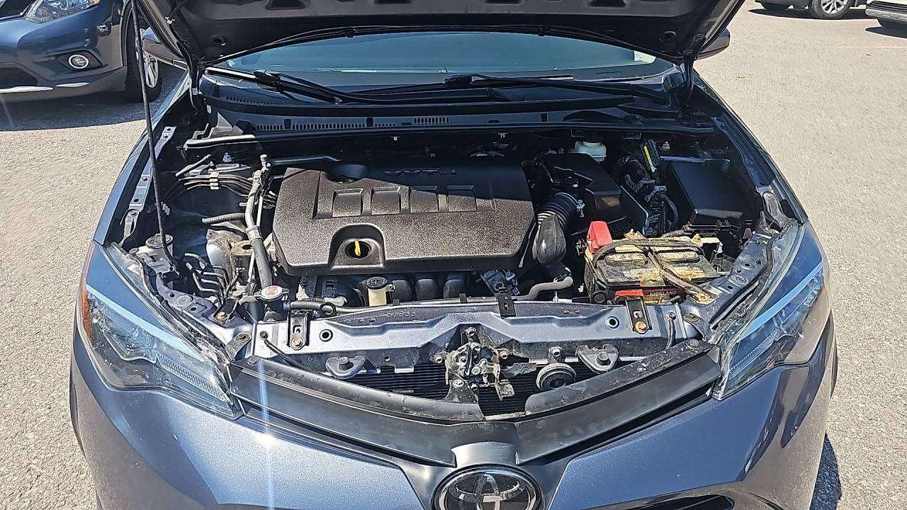 2019 Toyota Corolla LE Photo