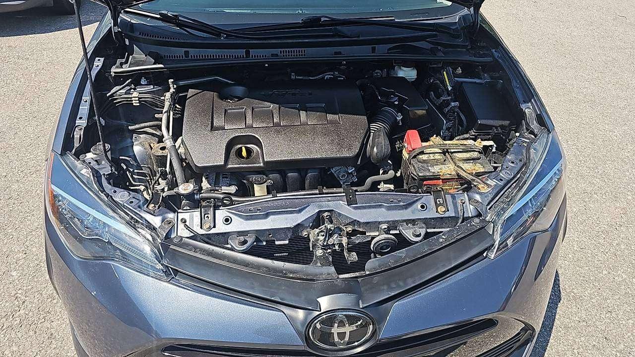 2019 Toyota Corolla LE Photo