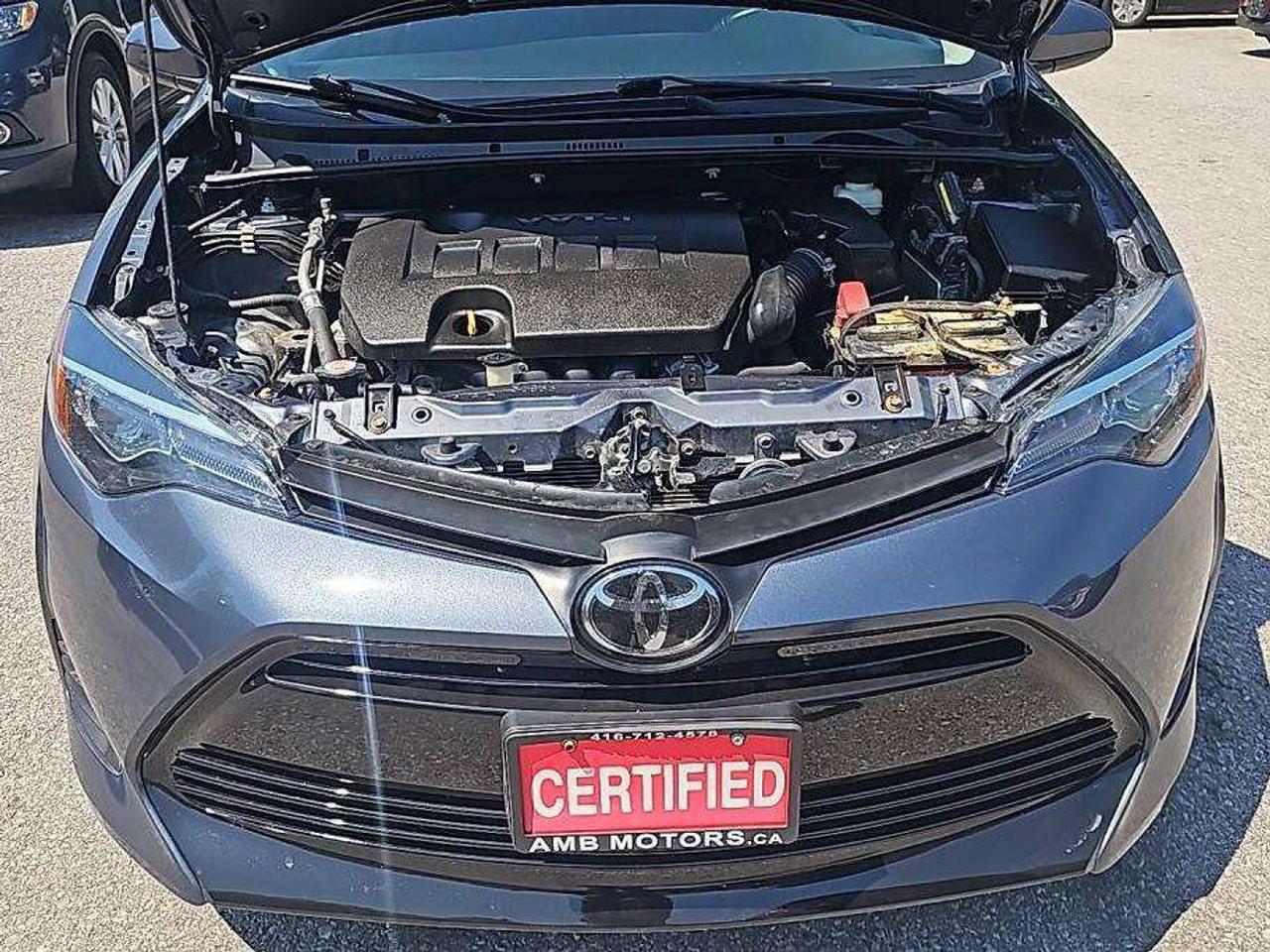 2019 Toyota Corolla LE Photo