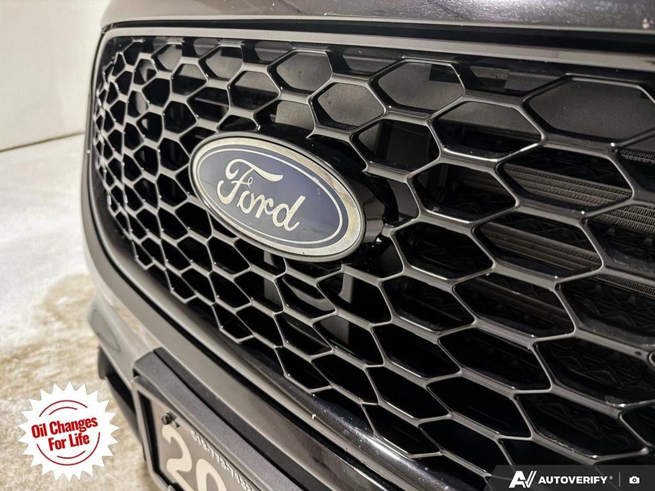 2021 Ford Edge  Photo