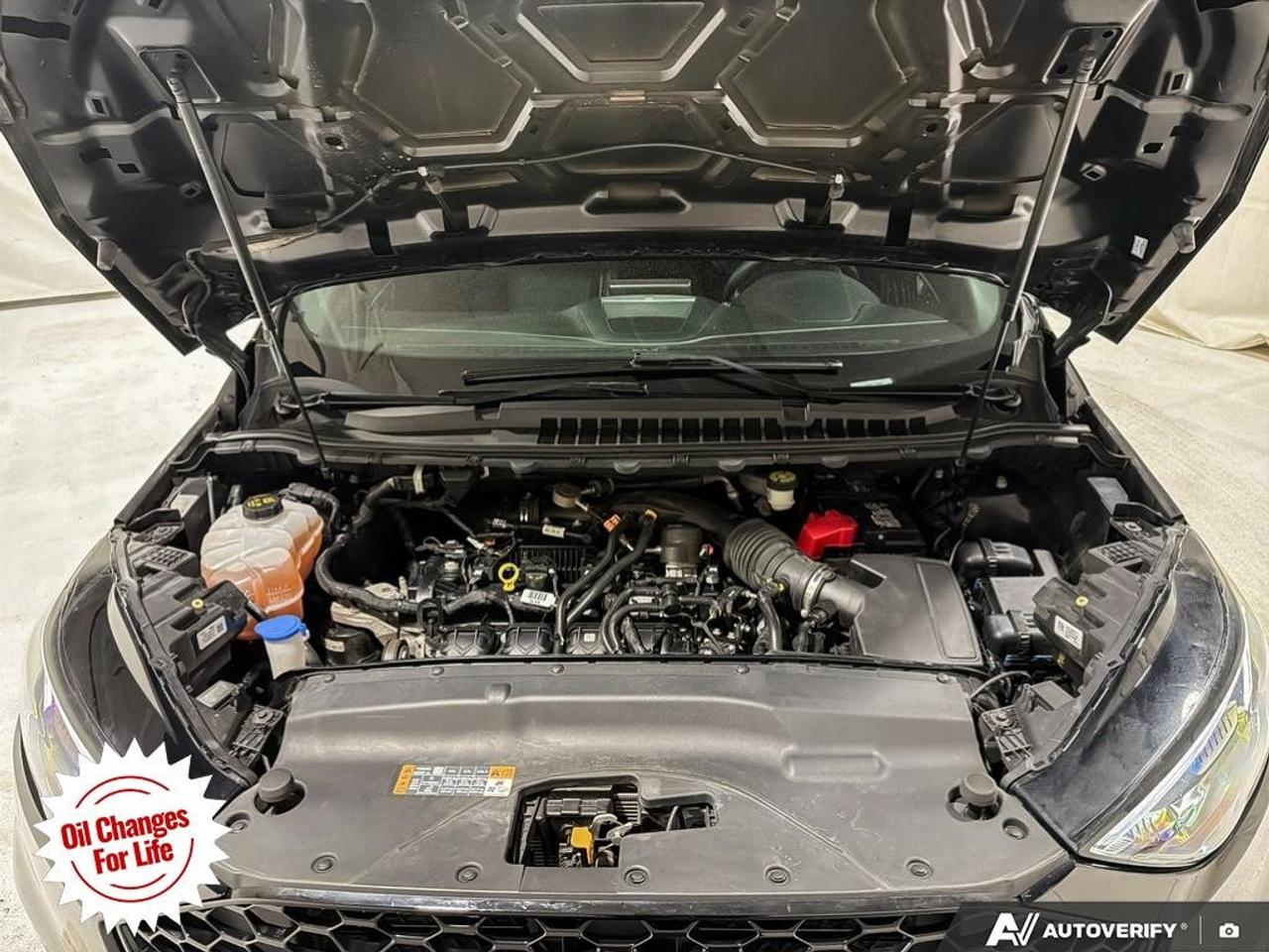 2021 Ford Edge  Photo