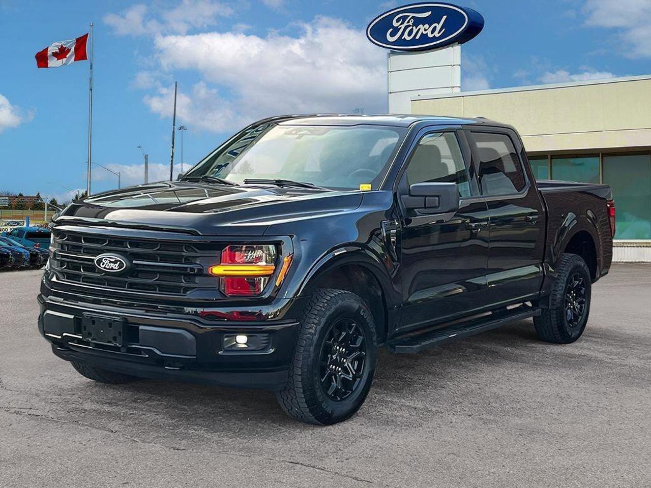 2025 Ford F-150 XLT   301A   XLT BLACK APP PKG Photo