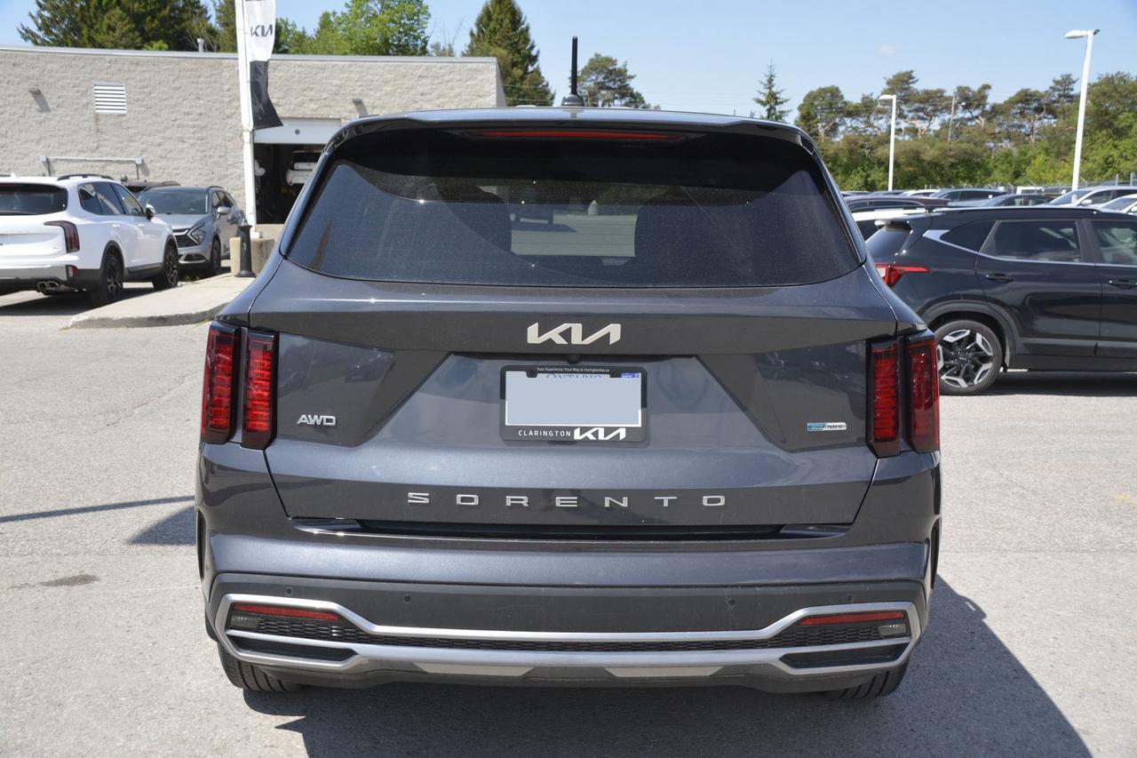 2022 Kia Sorento Hybrid  Photo