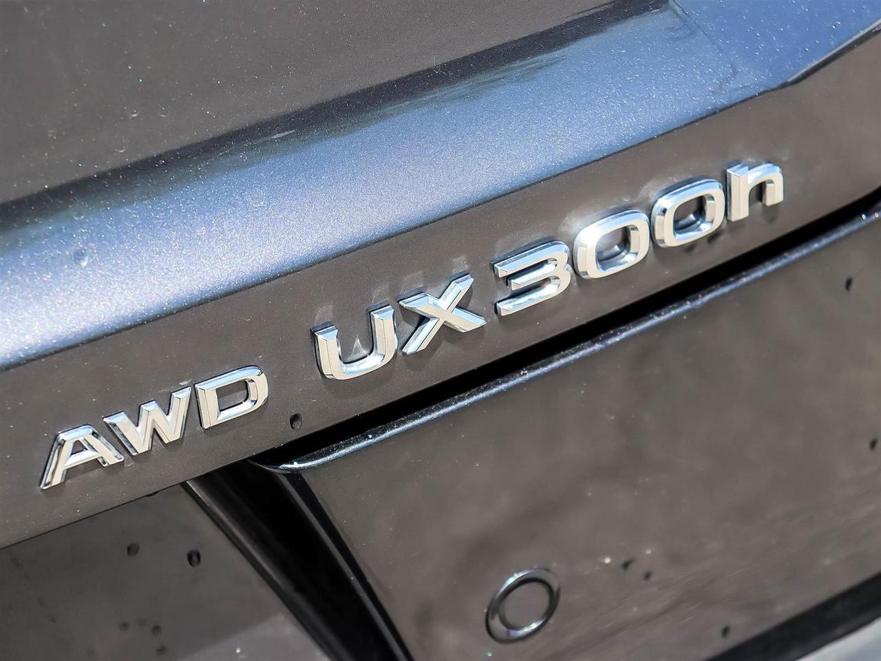 2025 Lexus UX 300h Nav HUD Lexus Certified Welcome Trades Photo