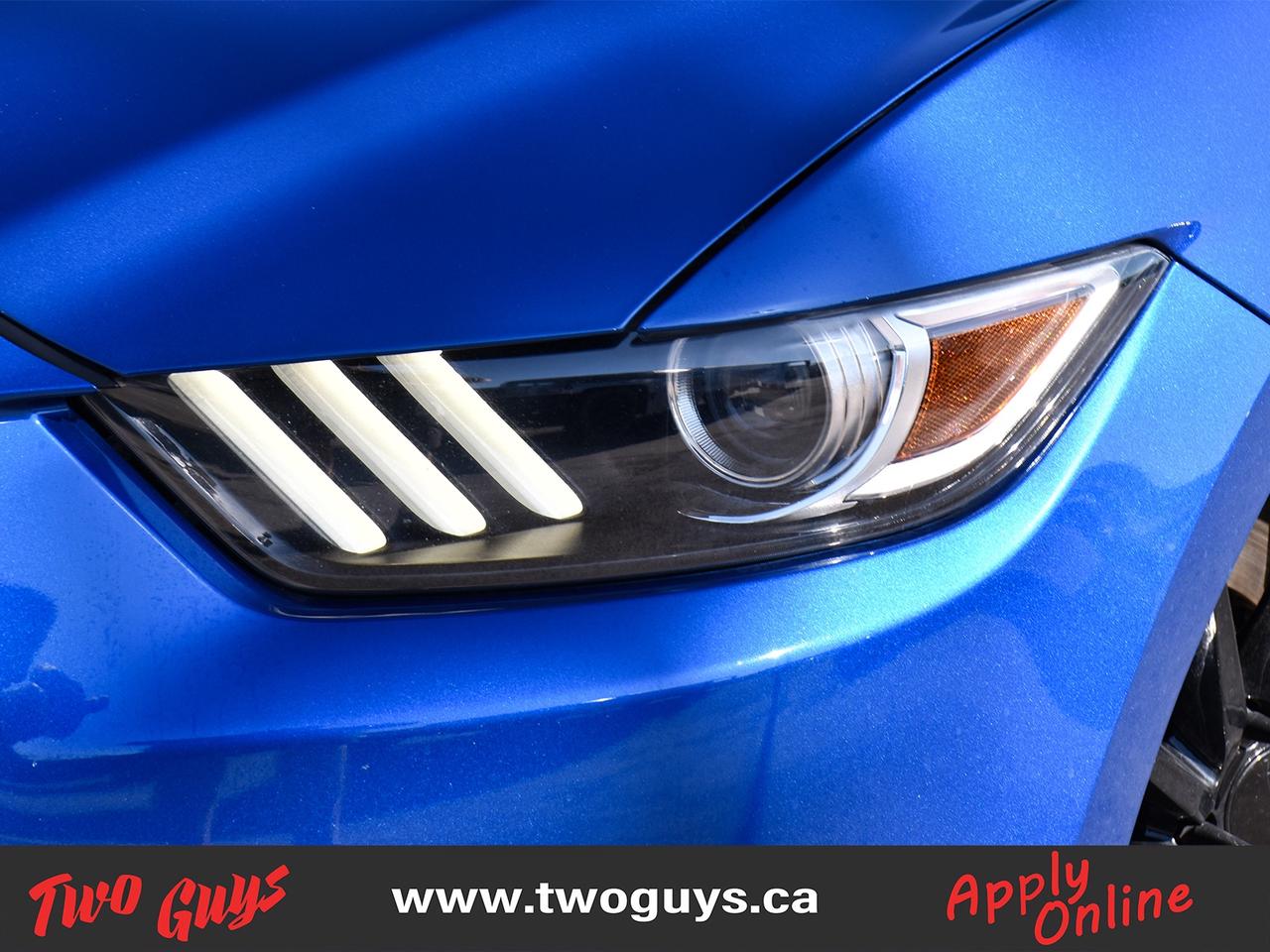 2017 Ford Mustang 2dr Fastback GT Premium Back Up Camera Photo