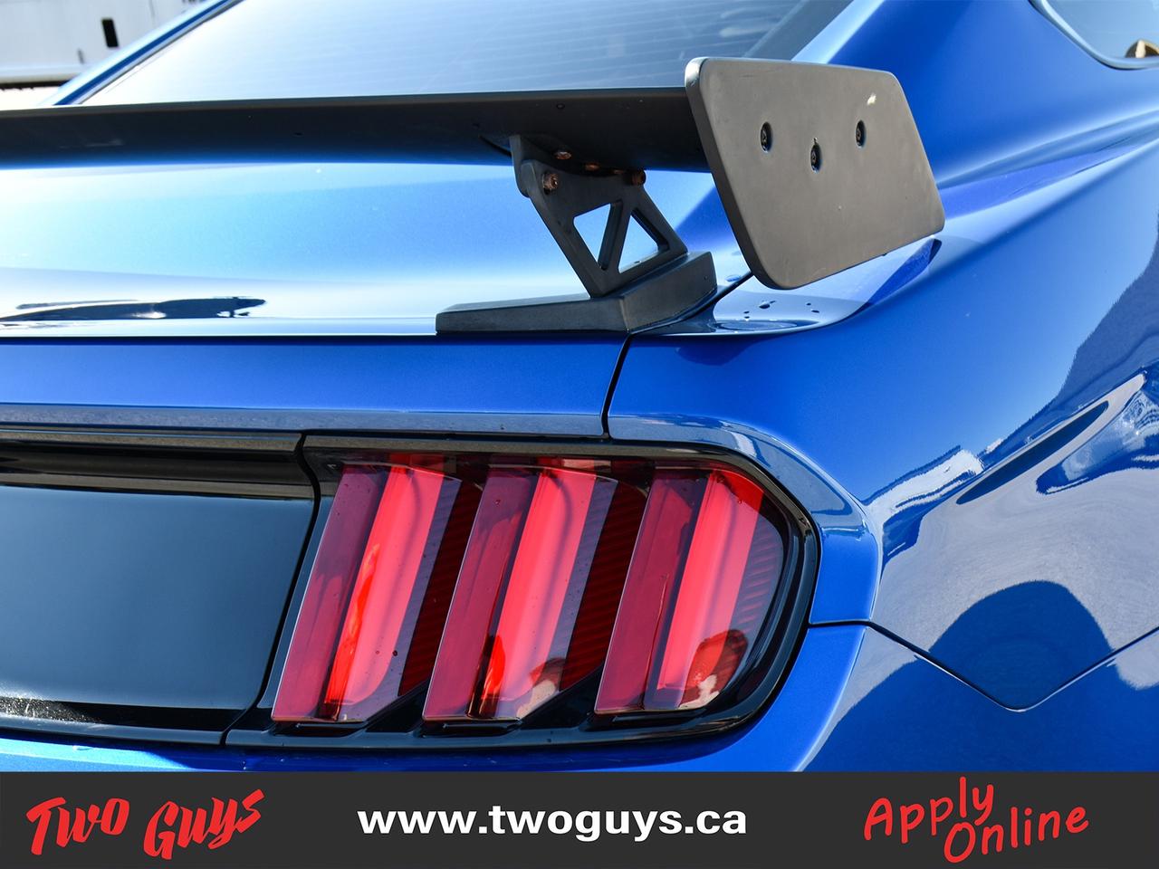 2017 Ford Mustang 2dr Fastback GT Premium Back Up Camera Photo