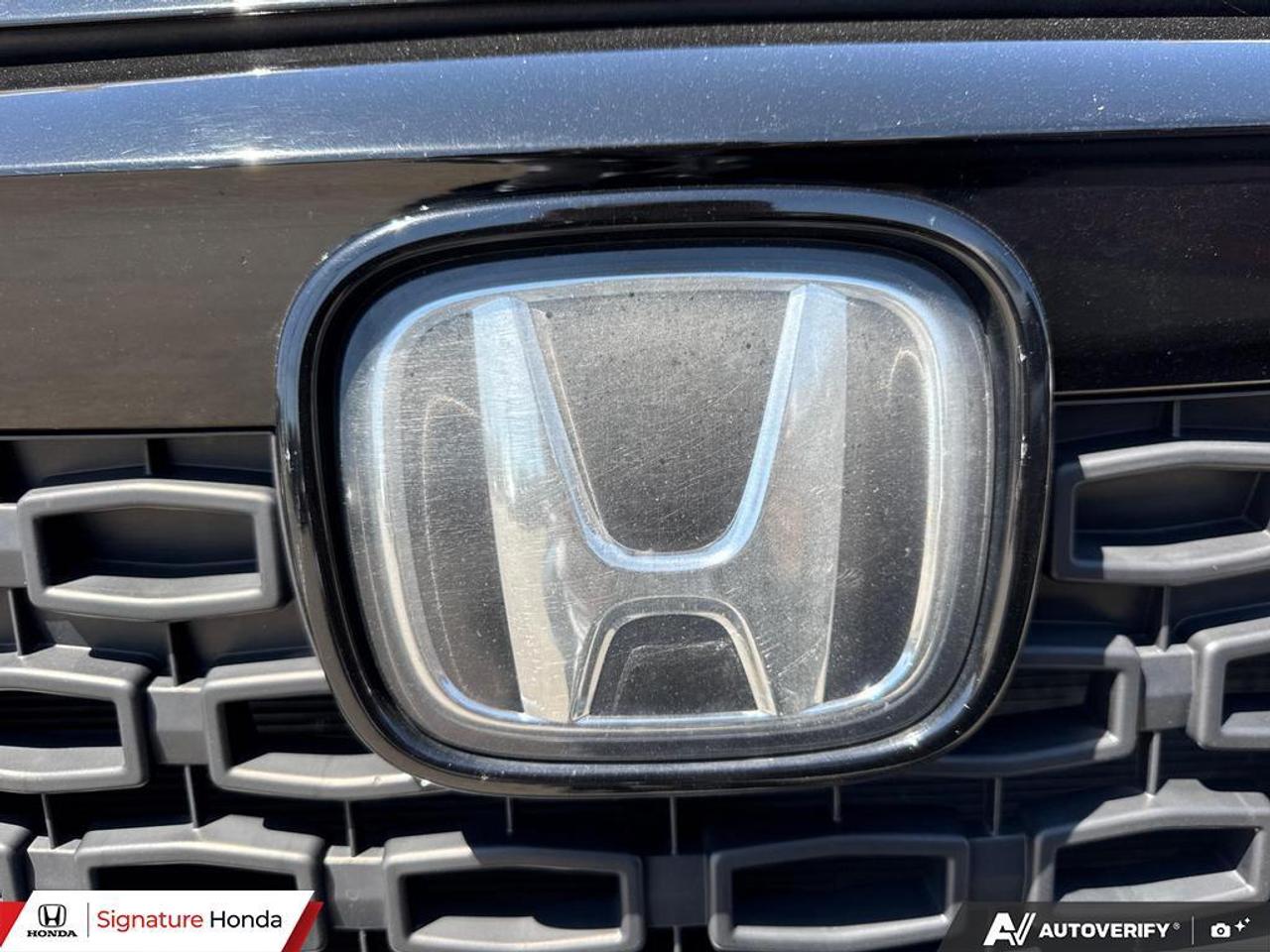 2025 Honda Odyssey Black Edition Photo