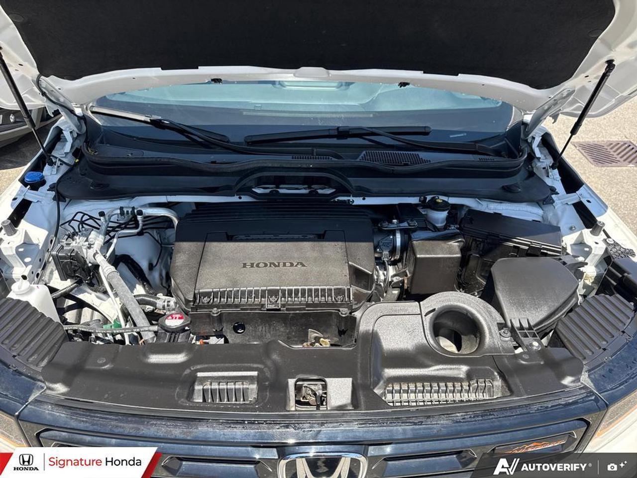 2026 Honda Passport TrailSport Touring Photo