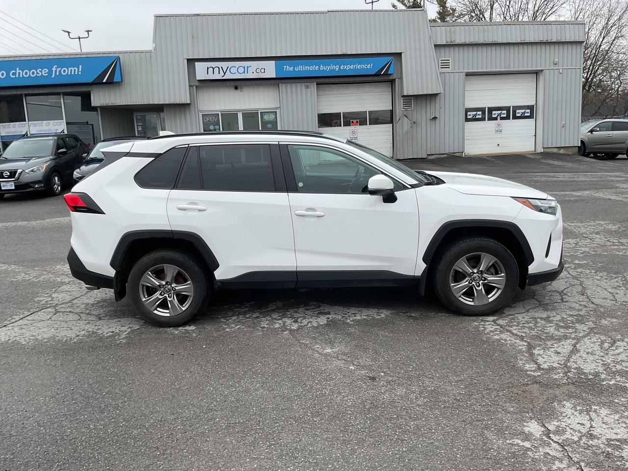 2024 Toyota RAV4 XLE 4dr All-wheel Drive Photo
