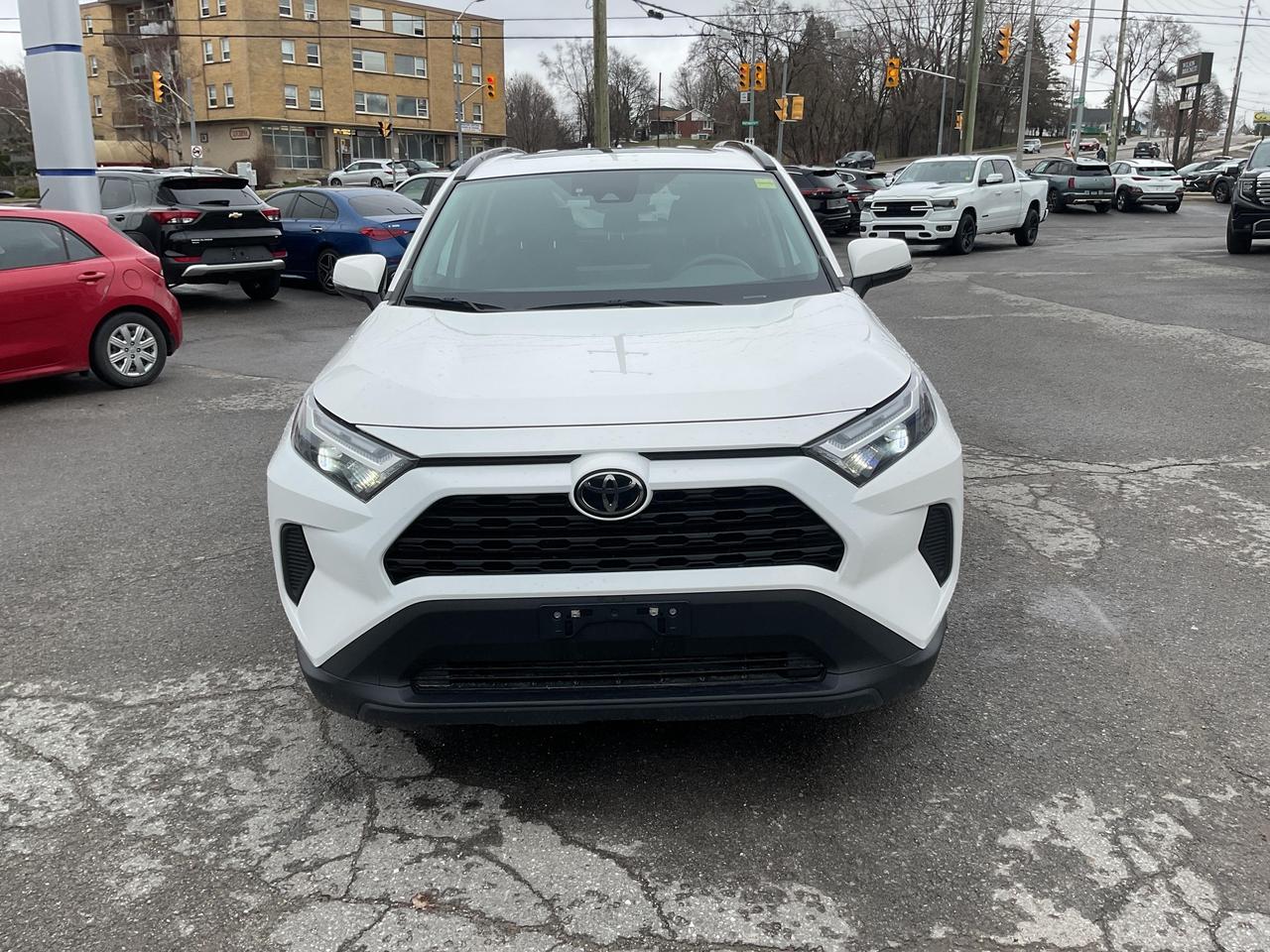 2024 Toyota RAV4 XLE 4dr All-wheel Drive Photo