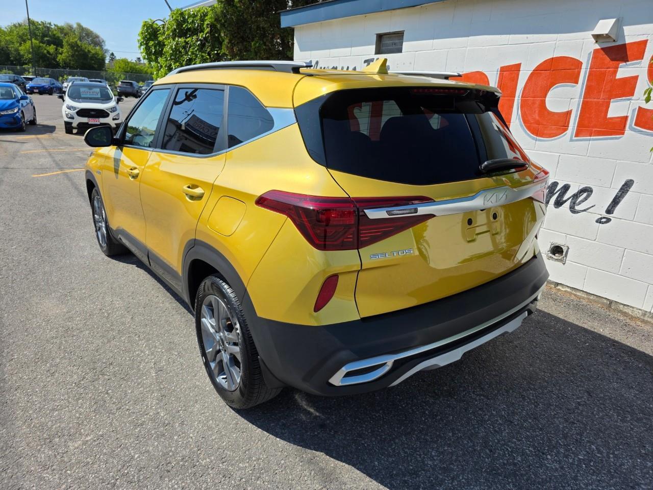2022 Kia Seltos EX 4dr All-Wheel Drive Photo