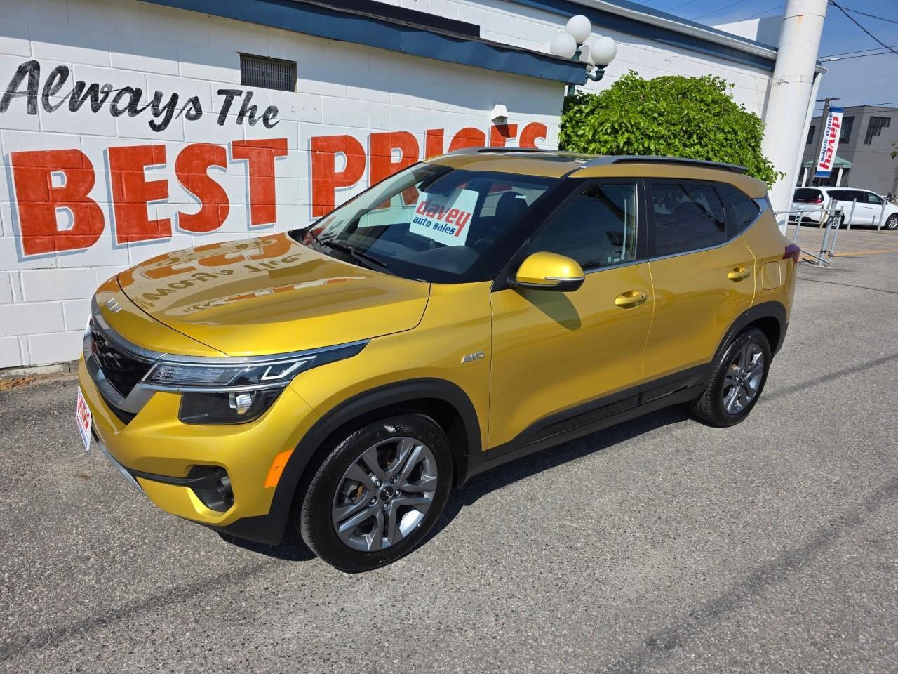 2022 Kia Seltos EX 4dr All-Wheel Drive Photo