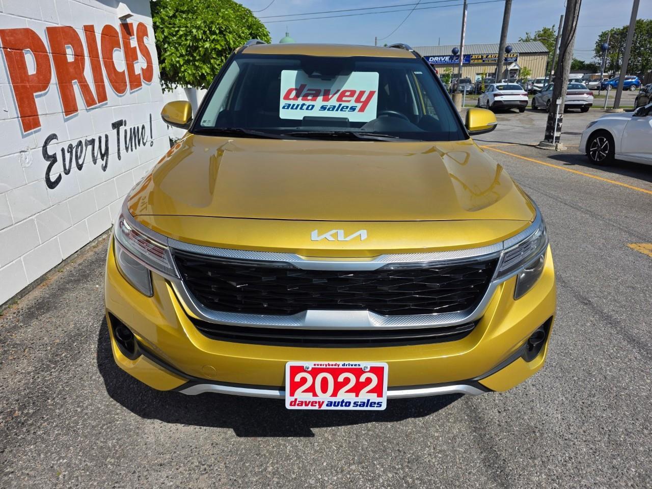 2022 Kia Seltos EX 4dr All-Wheel Drive Photo