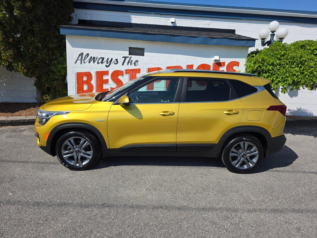 2022 Kia Seltos EX 4dr All-Wheel Drive Photo4
