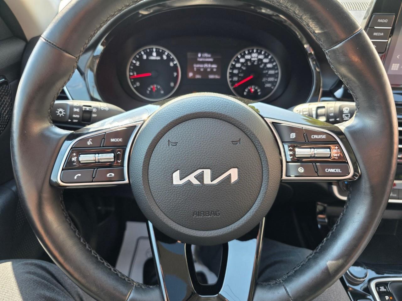 2022 Kia Seltos EX 4dr All-Wheel Drive Photo