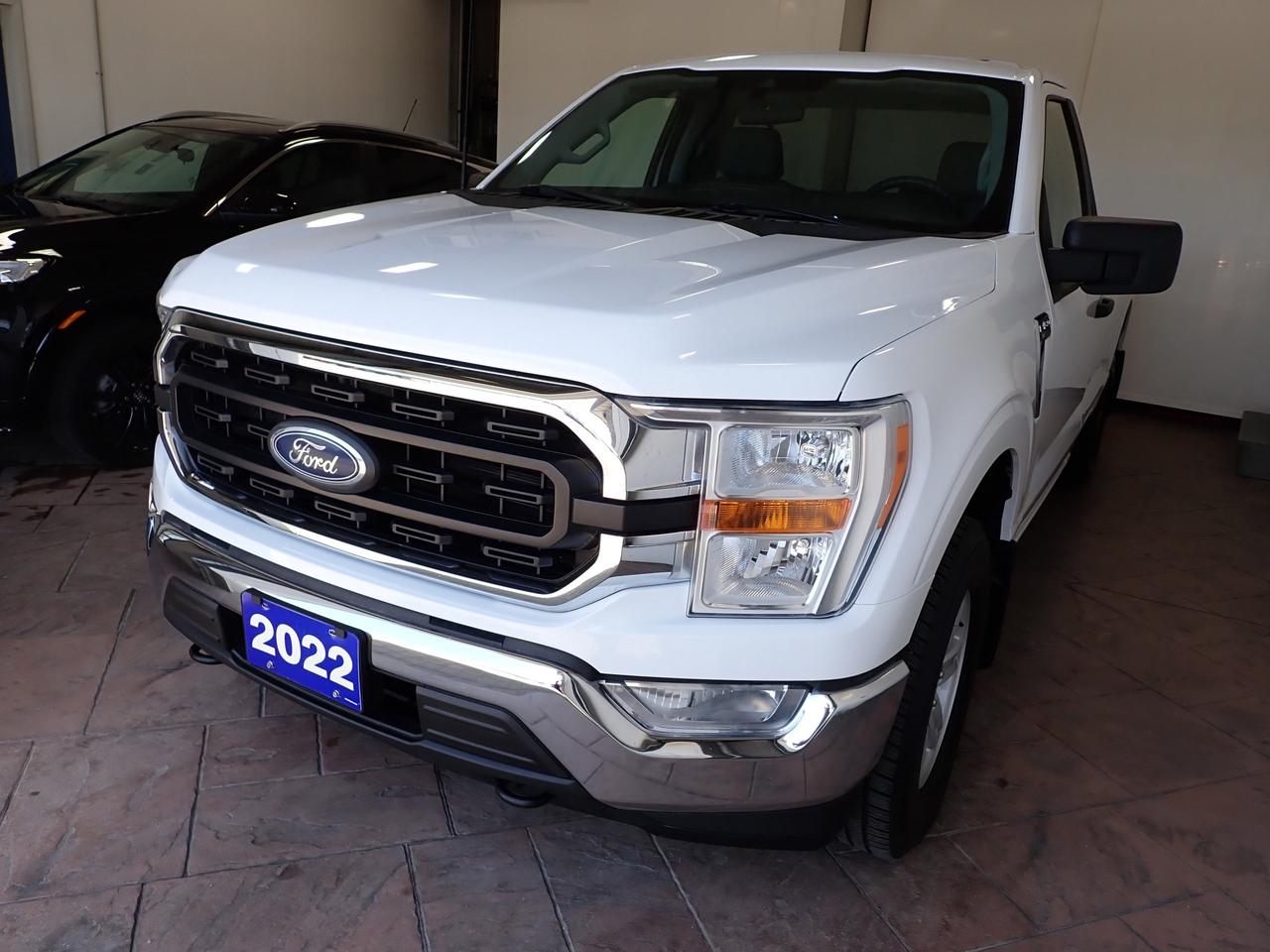 2022 Ford F-150 XLT REG CAB 4WD 8FT BOX V8 Photo