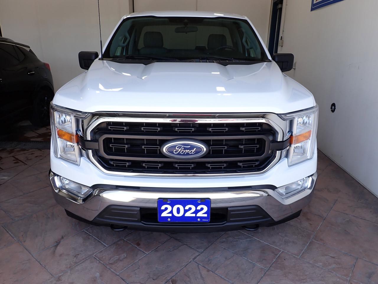 2022 Ford F-150 XLT REG CAB 4WD 8FT BOX V8 Photo