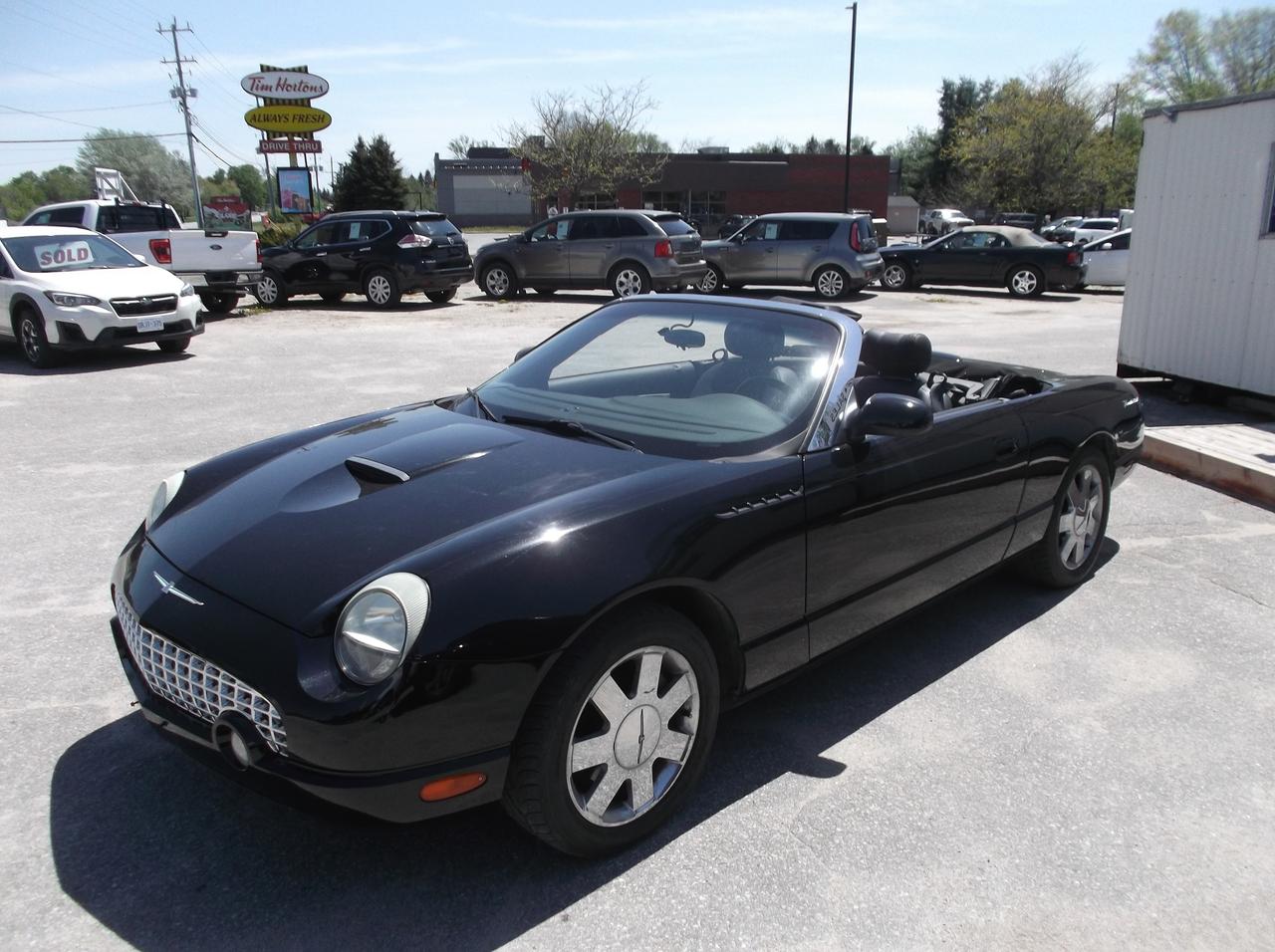 2002 Ford Thunderbird Convertible Photo