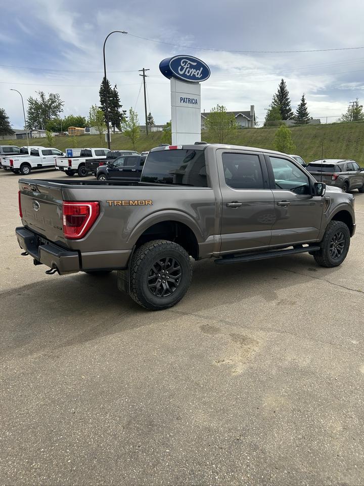 2023 Ford F-150 Tremor Photo4