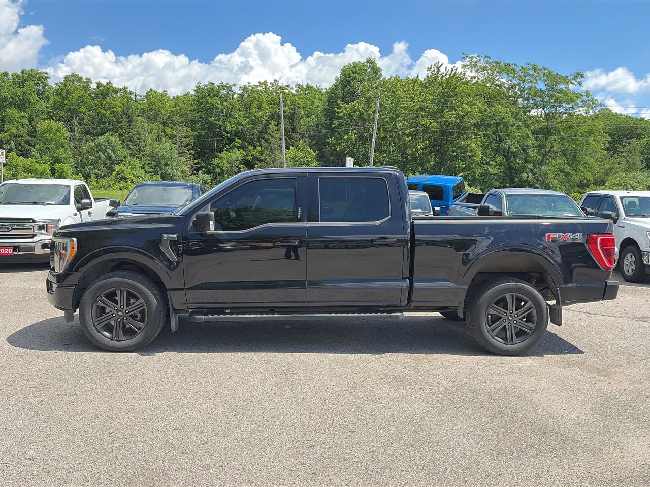 2022 Ford F-150 XLT FX4 OFF ROAD, CLEAN CARFAX, REMOTE START! Photo