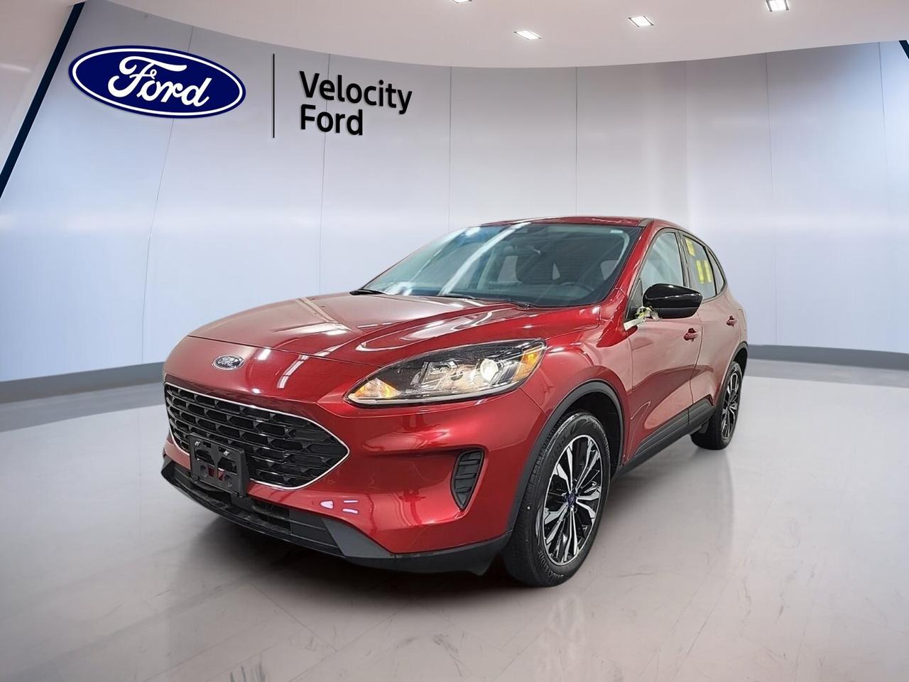 // SINGLE OWNER! //

This 2022 Ford Escape SE AWD COMING SOON is a smart compact SUV for life in Moose Jaw. It has a single owner, as reported by CARFAX Canada. Its red exterior and grey interior give it a clean, modern look. With 91,310 km, automatic transmission, and a 1.5-litre unleaded engine, this used Ford is ready for daily driving.

Sold by Velocity Ford, this 2022 Ford Escape SE AWD COMING SOON offers the confidence of all-wheel drive and the easy manners many drivers want in a family SUV. Four doors, useful cargo access, and a well-planned cabin make it a practical choice for commuting, errands, and highway trips across Saskatchewan.

FEATURES OF THE Escape SE AWD COMING SOON

»» All-wheel drive for added road confidence
»» 1.5-litre engine with smooth automatic shifting
»» Heated front seats for cold mornings
»» Push button start for quick departures

ADVANCED SAFETY FEATURES

»» Backup camera helps with reversing visibility
»» Blind spot monitor adds lane awareness
»» Lane departure warning supports safer travel
»» Multiple airbags help protect occupants

PERFORMANCE AND EFFICIENCY

»» 1.5-litre unleaded engine balances daily efficiency
»» Eight-speed automatic delivers smooth gear changes
»» All-wheel drive adds traction in weather
»» Power steering supports easy city handling

COMFORT AND CONVENIENCE

»» Heated front seats add welcome comfort
»» Front air conditioning keeps cabin pleasant
»» Cruise control helps on longer drives
»» Power windows add everyday ease

TECHNOLOGY AND CONNECTIVITY

»» Bluetooth integration supports hands-free phone use
»» WiFi hotspot helps keep devices connected
»» Satellite radio expands entertainment choices
»» Steering wheel audio controls simplify access

CARGO SPACE

»» Rear trunk access makes loading simple
»» Four-door layout improves passenger entry
»» Spare tire adds travel reassurance
»» Rear spoiler complements practical SUV design

AWARDS & RECOGNITIONS

»» Top Safety Pick, Insurance Institute for Highway Safety, 2022

WHAT OTHER OWNERS LIKE

»» Confident all-wheel drive in changing weather
»» Easy-to-use controls and clear cabin layout
»» Comfortable ride for daily commuting needs
»» Flexible cargo area for family errands

This Ford Escape is equipped with useful features that matter every day. Anti-Lock Braking System, stability control, child safety locks, automatic headlights, tire pressure monitoring, electric mirrors, tinted windows, rear window defroster, automatic door locks, and passenger airbag sensor all help support a secure and convenient ownership experience.

Inside, the cabin is designed for simple comfort and function. Adjustable steering wheel settings help you find a natural driving position. Illuminated driver and passenger vanity mirrors add convenience. Ambient lighting gives the interior a refined feel, while the cloth seating and practical layout make this Escape easy to enjoy on every trip.

If you want a compact SUV with one-owner history, strong safety content, useful technology, and year-round all-wheel-drive confidence, this 2022 Ford Escape SE AWD COMING SOON is worth a close look at Velocity Ford in Moose Jaw.

This 2022 Ford Escape SE AWD COMING SOONs VIN is: 1FMCU9G65NUA00796.