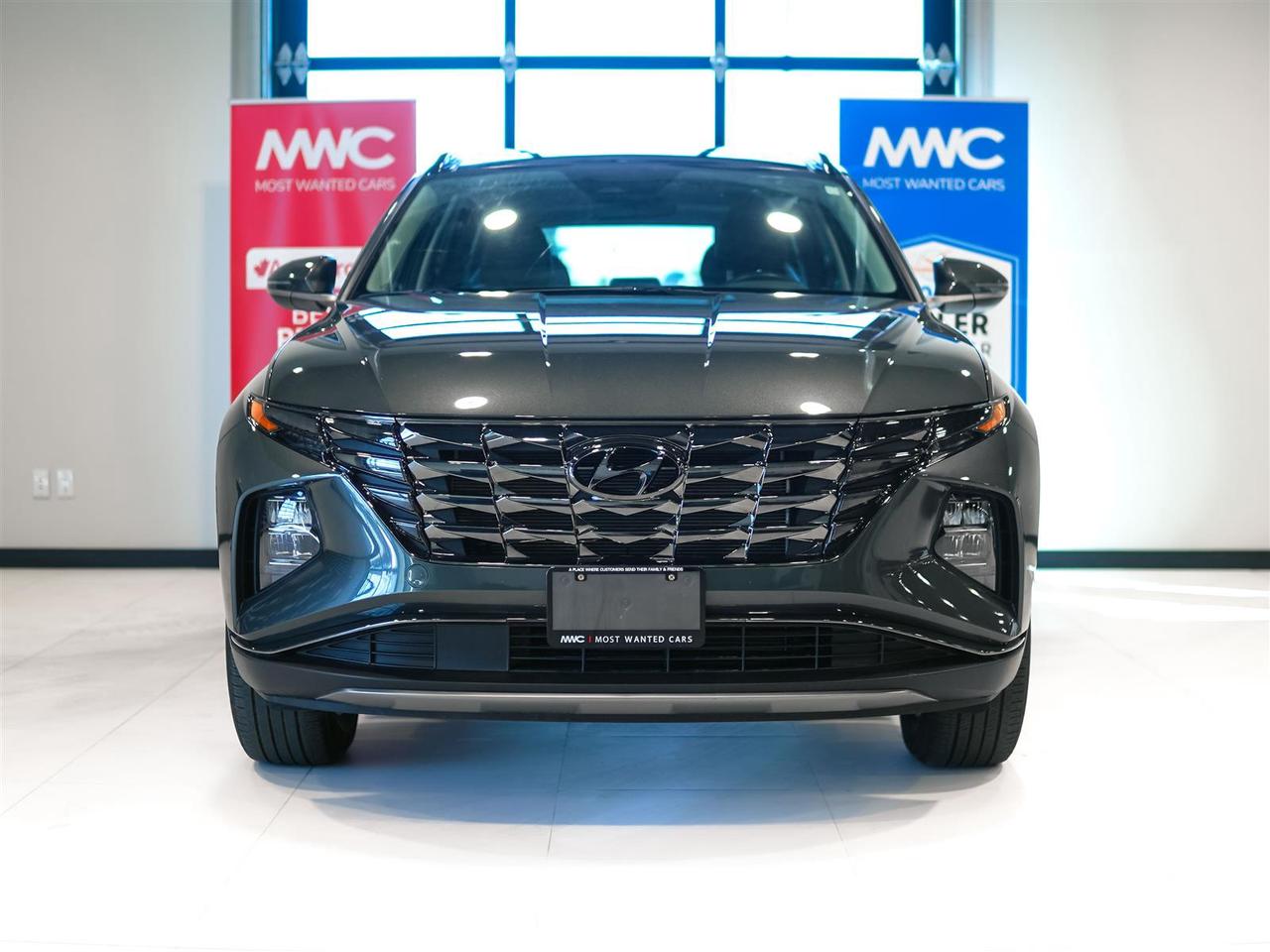 2024 Hyundai Tucson TREND AWD | NAV | LEATHER | PANO ROOF | NO ACCIDENTS Photo