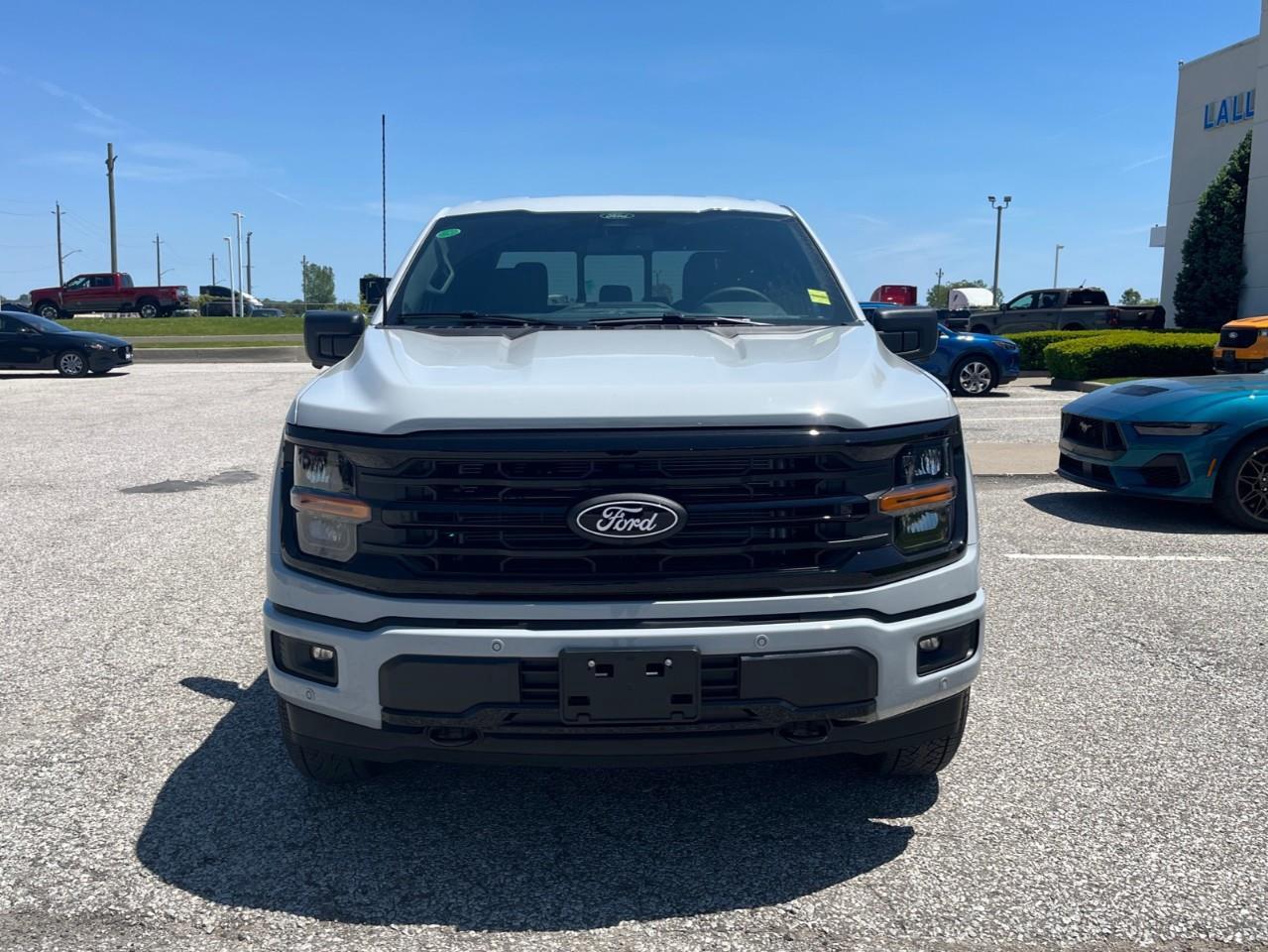 2026 Ford F-150 XLT Photo