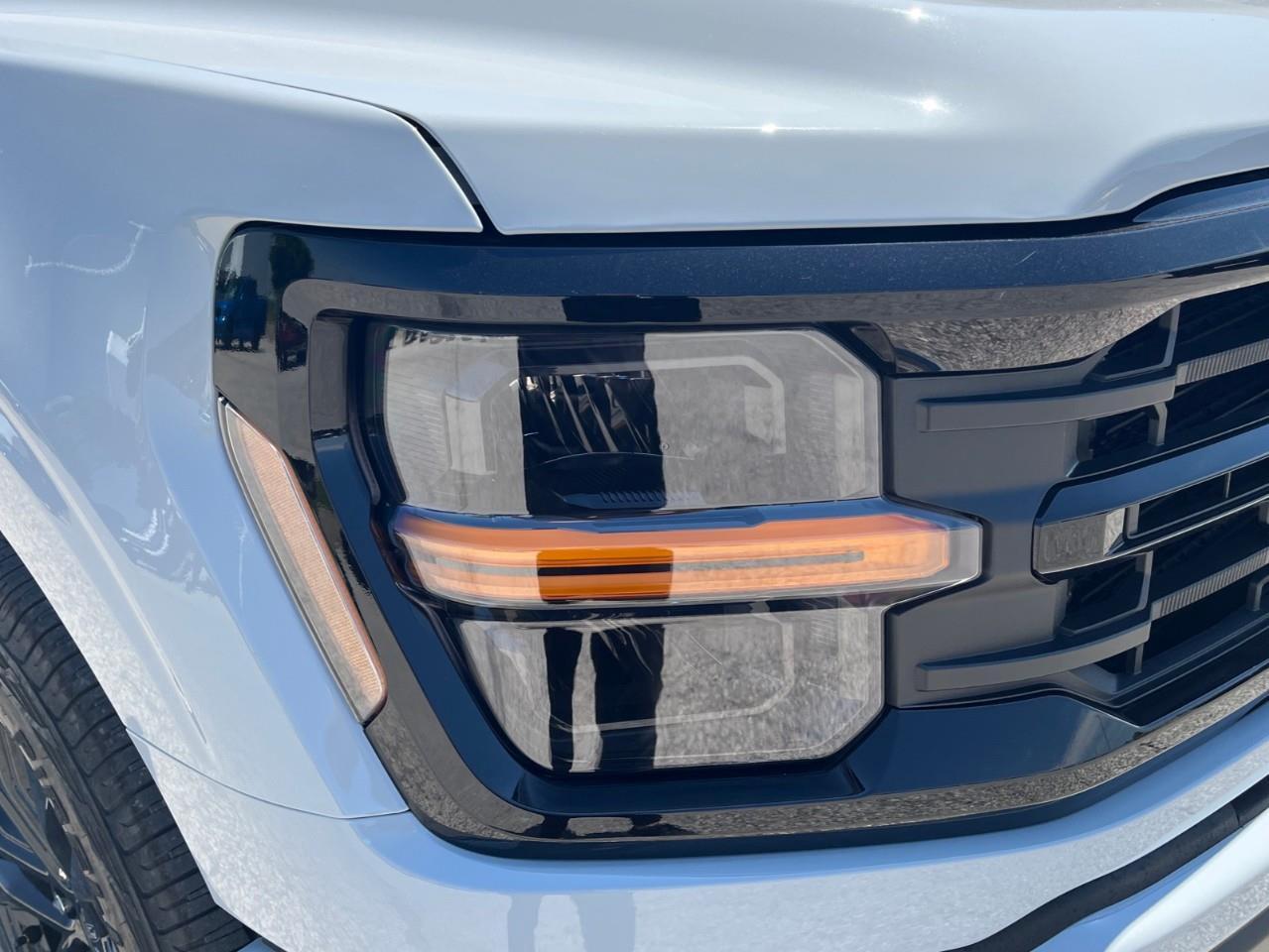 2026 Ford F-150 XLT Photo