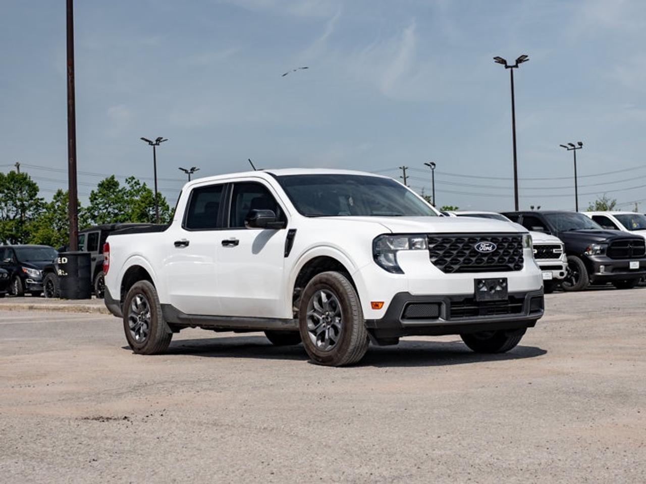 2025 Ford Maverick XLT Photo