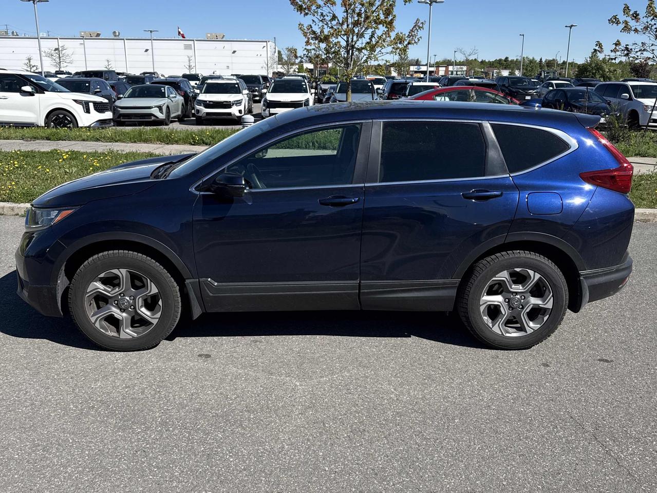 2017 Honda CR-V EX AWD, LOW KM, SUNROOF, HEATED SEATS, BACK-UP CAM Photo4