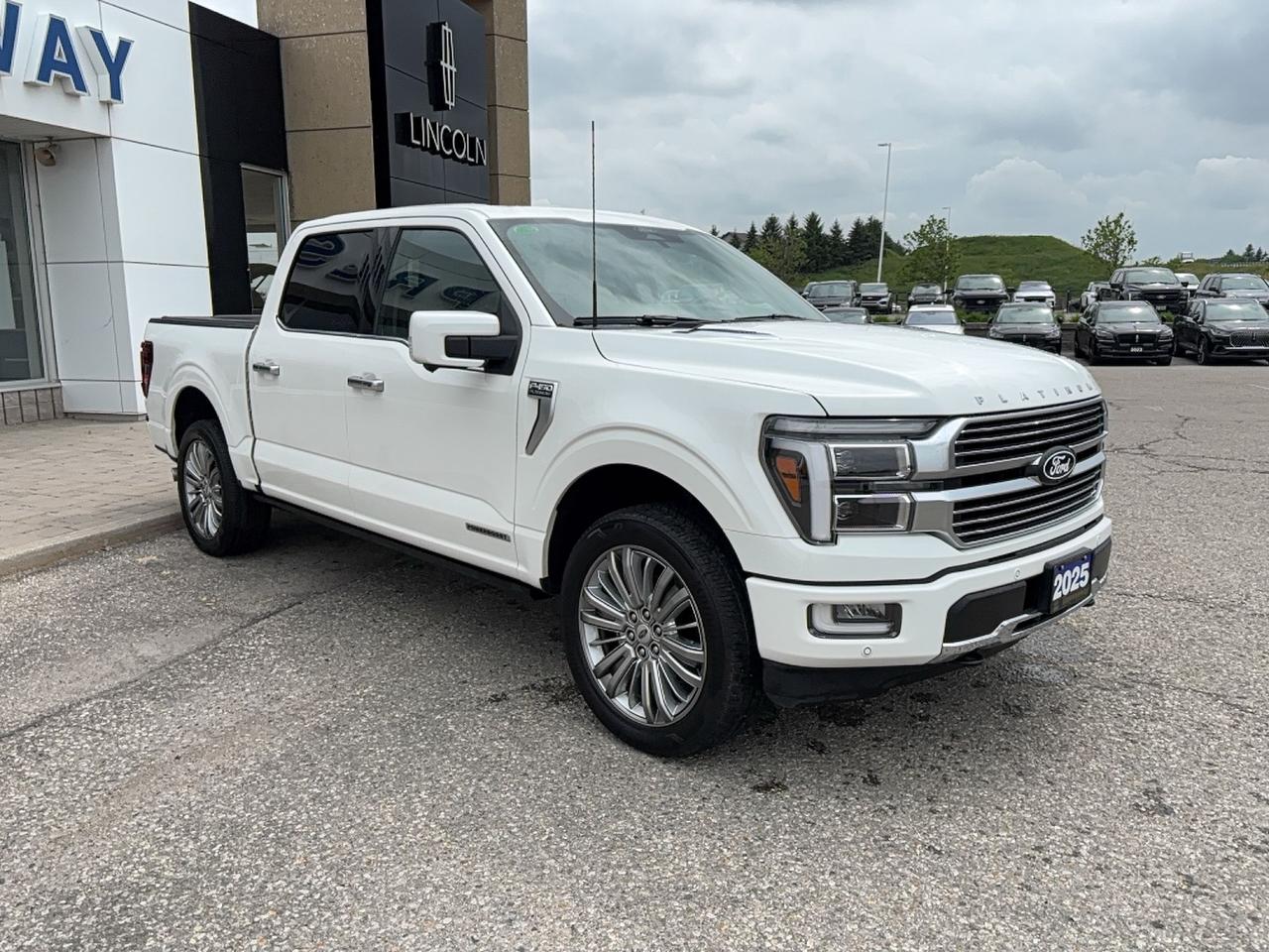 2025 Ford F-150 POWERBOOST! LOADED! 22" RIMS! 703A PACKAGE! Photo