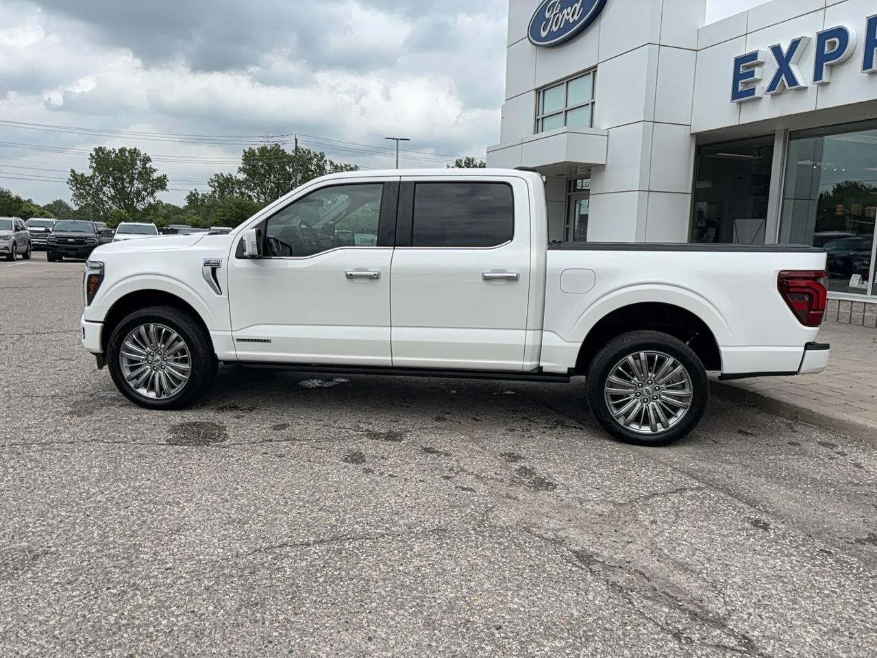 2025 Ford F-150 POWERBOOST! LOADED! 22" RIMS! 703A PACKAGE! Photo