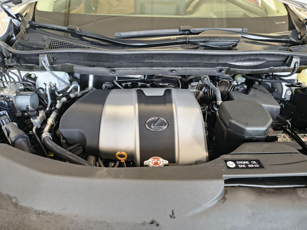 2022 Lexus RX rx 350 Photo0