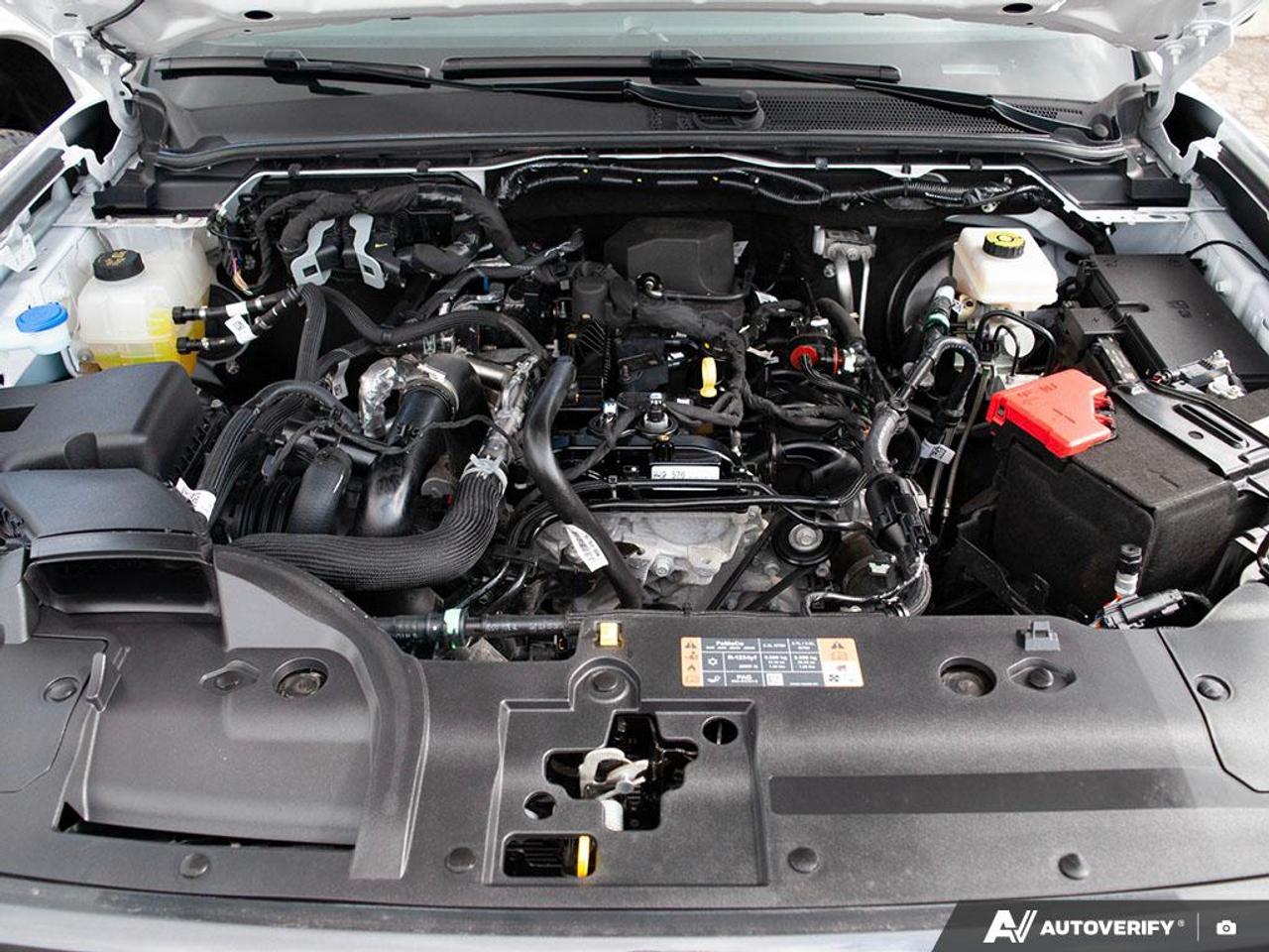 2024 Ford Ranger XLT Photo