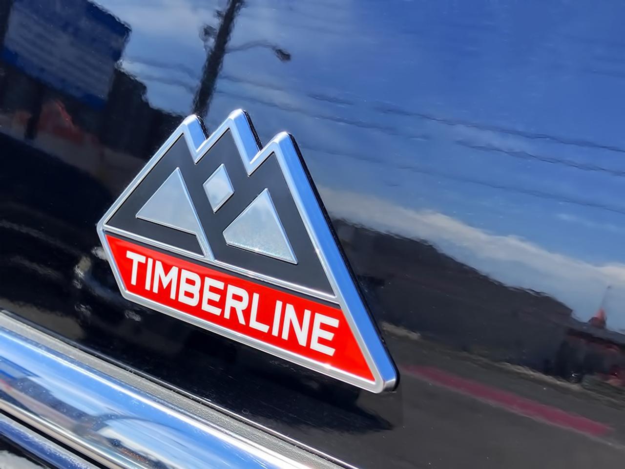 2022 Ford Expedition TIMBERLINE|OFF-ROAD|NAVI|360 CAMERA|PANOROOF Photo3